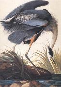 John James Audubon Great Blue Heron China oil painting reproduction